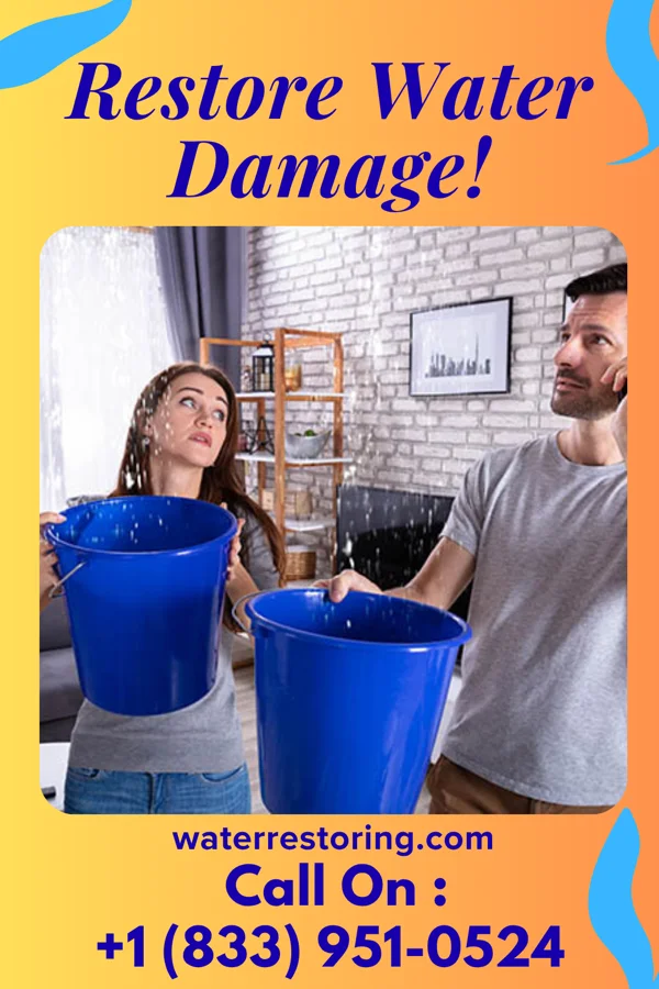 water restoration Prestige Flood Cleanup Services Big Sandy
