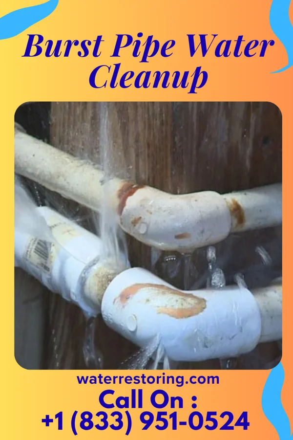 Burst Pipe Water Cleanup in Big Sandy, TN