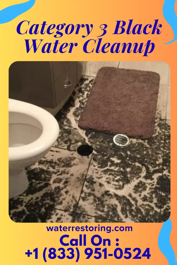 Category 3 Black Water Cleanup in Big Sandy, TN
